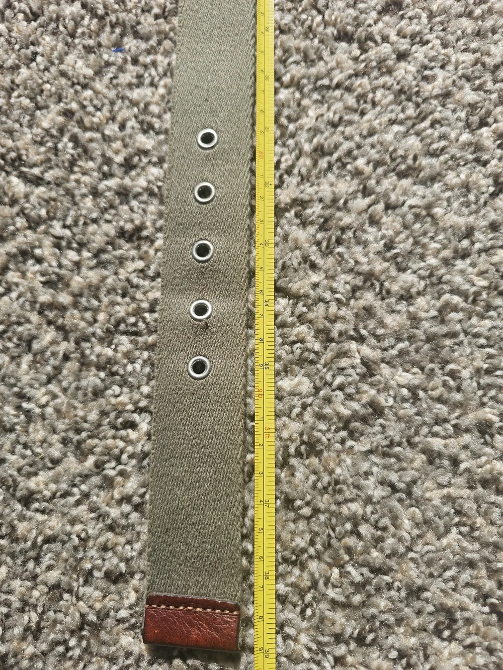 Olive Green Stretch Webbing Belt with Leather Tab